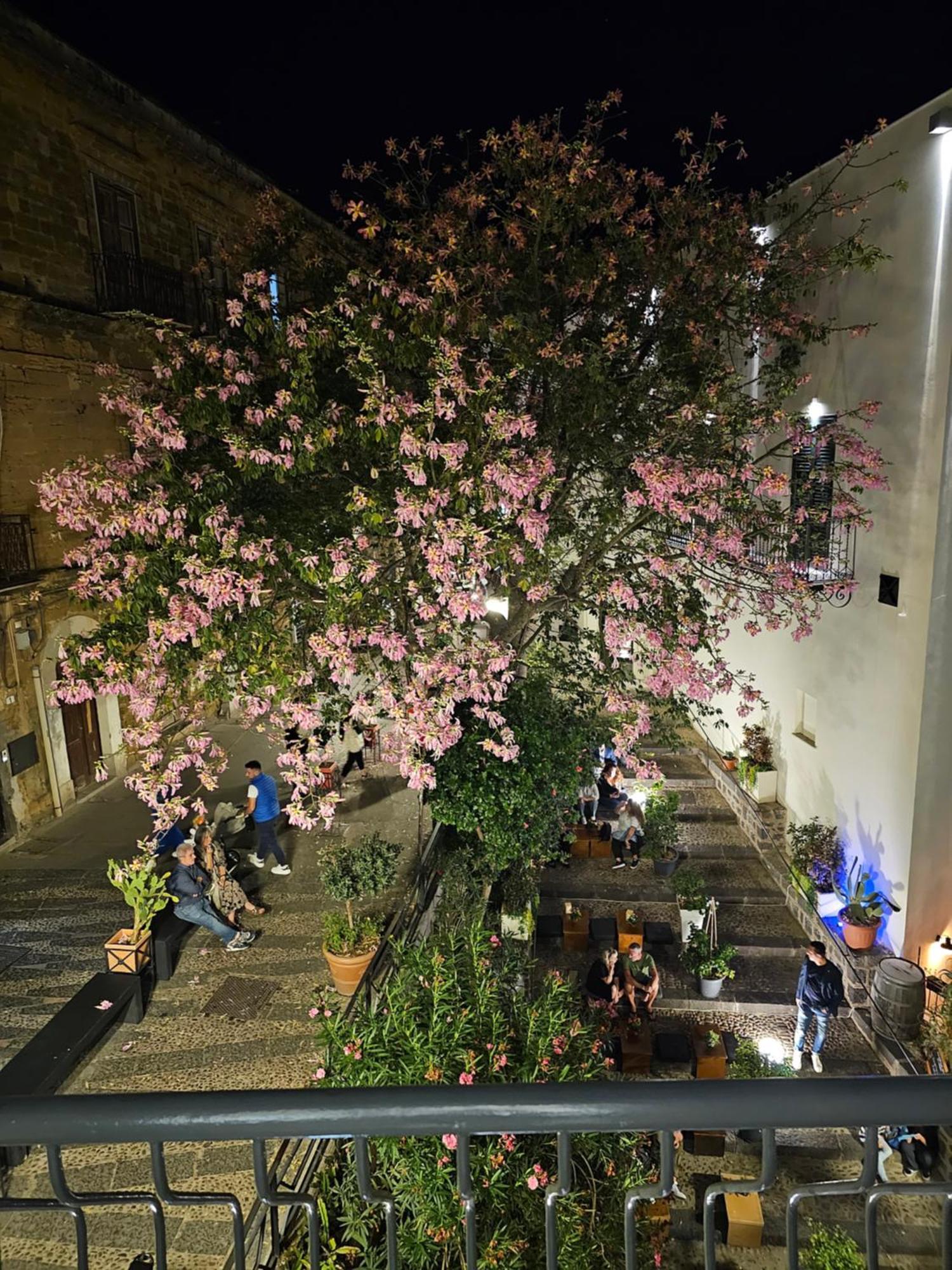 Villa Di Giorgi Apartments Center Cefalù Dış mekan fotoğraf